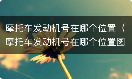 摩托车发动机号在哪个位置（摩托车发动机号在哪个位置图片）