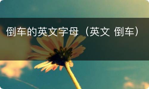 倒车的英文字母（英文 倒车）