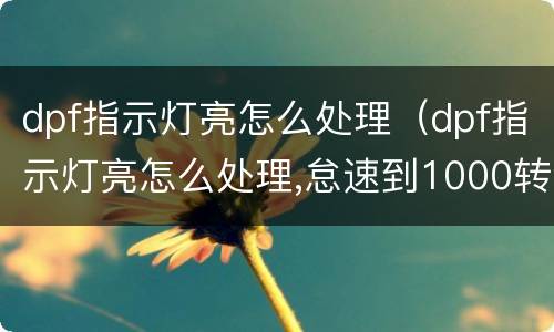 dpf指示灯亮怎么处理（dpf指示灯亮怎么处理,怠速到1000转）