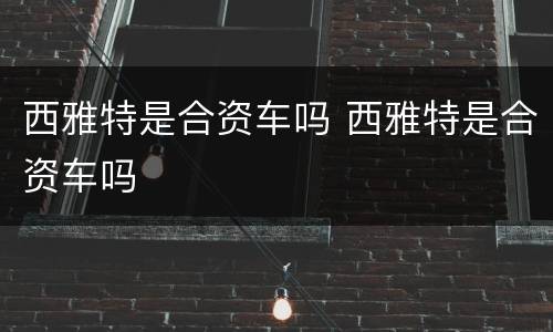 西雅特是合资车吗 西雅特是合资车吗