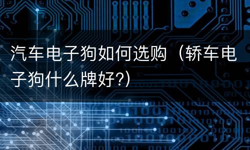 汽车电子狗如何选购（轿车电子狗什么牌好?）