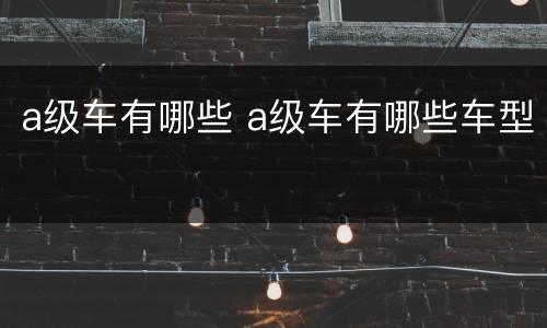 a级车有哪些 a级车有哪些车型