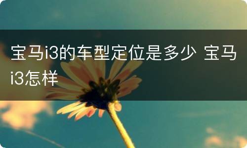 宝马i3的车型定位是多少 宝马i3怎样