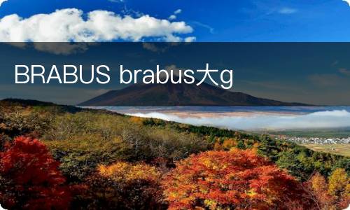 BRABUS brabus大g