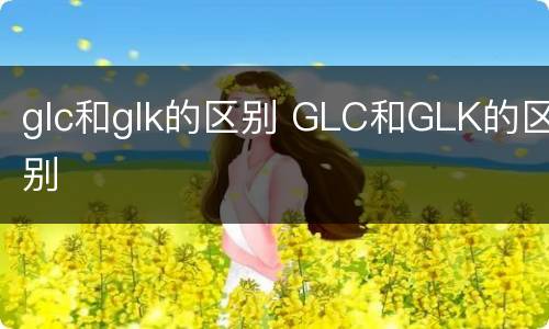 glc和glk的区别 GLC和GLK的区别