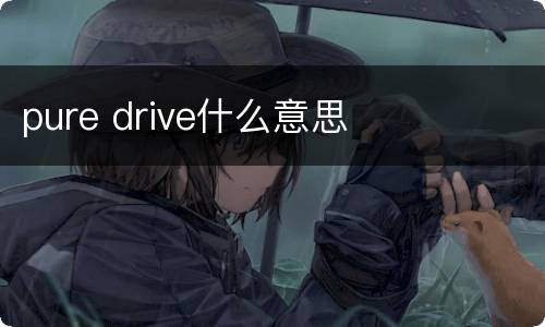 pure drive什么意思