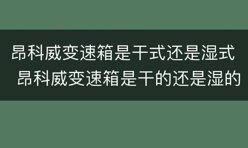 昂科威变速箱是干式还是湿式 昂科威变速箱是干的还是湿的