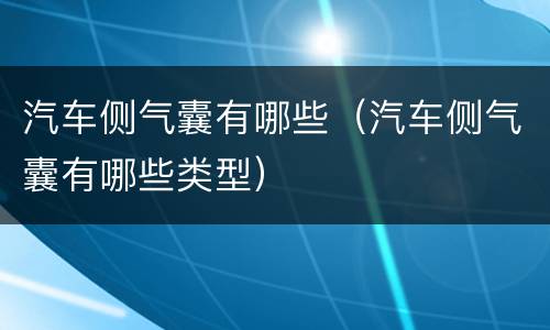 汽车侧气囊有哪些（汽车侧气囊有哪些类型）
