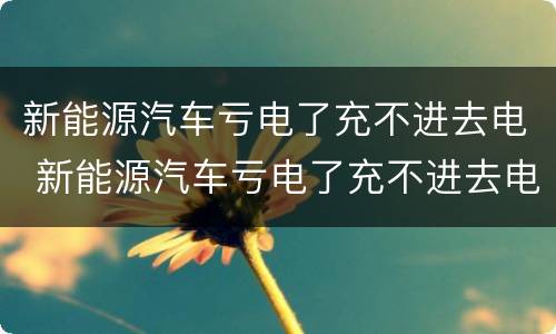 新能源汽车亏电了充不进去电 新能源汽车亏电了充不进去电怎么回事
