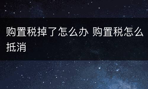 购置税掉了怎么办 购置税怎么抵消