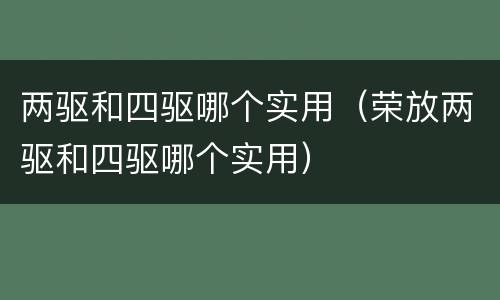 两驱和四驱哪个实用（荣放两驱和四驱哪个实用）
