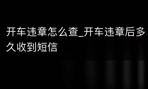 开车违章怎么查_开车违章后多久收到短信