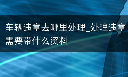 车辆违章去哪里处理_处理违章需要带什么资料
