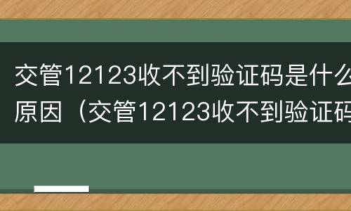 交管12123收不到验证码是什么原因（交管12123收不到验证码是什么原因造成的）