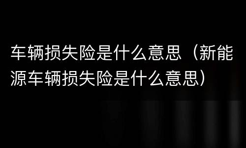 车辆损失险是什么意思（新能源车辆损失险是什么意思）