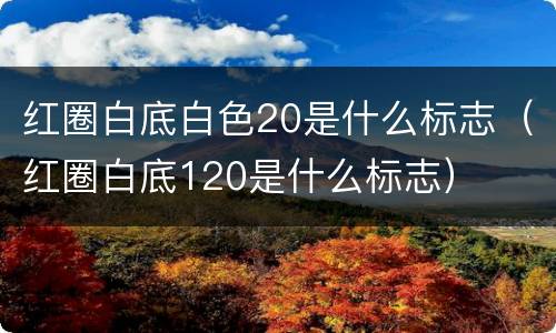 红圈白底白色20是什么标志（红圈白底120是什么标志）