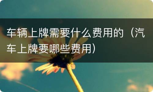 车辆上牌需要什么费用的（汽车上牌要哪些费用）