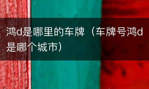 鸿d是哪里的车牌（车牌号鸿d是哪个城市）