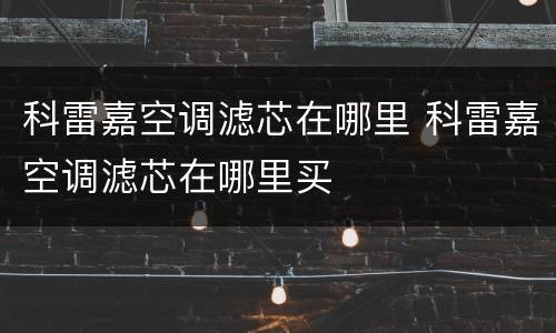 科雷嘉空调滤芯在哪里 科雷嘉空调滤芯在哪里买
