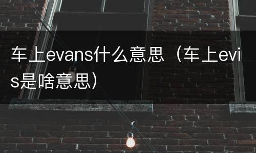 车上evans什么意思（车上evis是啥意思）