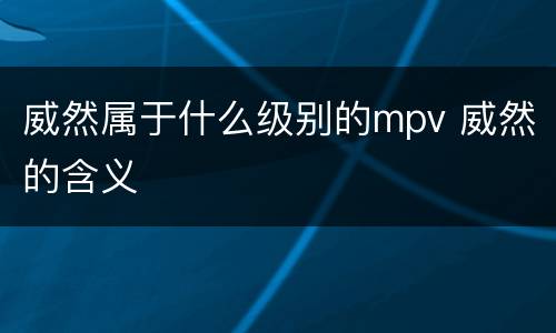 威然属于什么级别的mpv 威然的含义