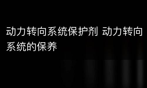 动力转向系统保护剂 动力转向系统的保养