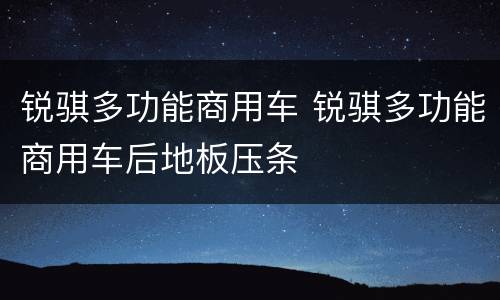 锐骐多功能商用车 锐骐多功能商用车后地板压条
