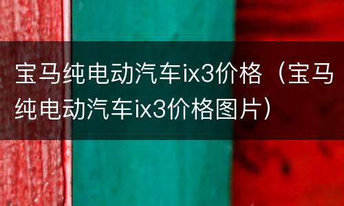 宝马纯电动汽车ix3价格（宝马纯电动汽车ix3价格图片）