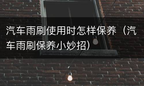 汽车雨刷使用时怎样保养（汽车雨刷保养小妙招）