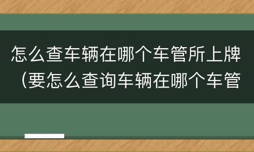 怎么查车辆在哪个车管所上牌（要怎么查询车辆在哪个车管所上牌的）