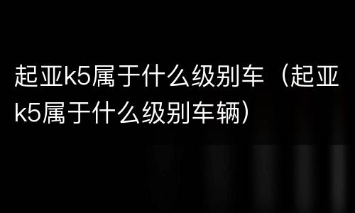 起亚k5属于什么级别车（起亚k5属于什么级别车辆）