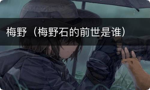 梅野（梅野石的前世是谁）