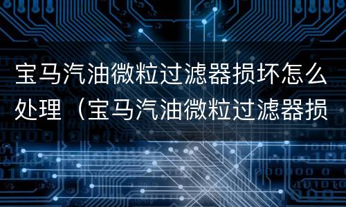 宝马汽油微粒过滤器损坏怎么处理（宝马汽油微粒过滤器损坏怎么处理视频）