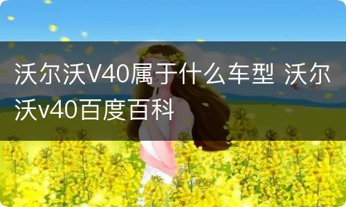 沃尔沃V40属于什么车型 沃尔沃v40百度百科