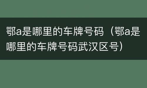 鄂a是哪里的车牌号码（鄂a是哪里的车牌号码武汉区号）