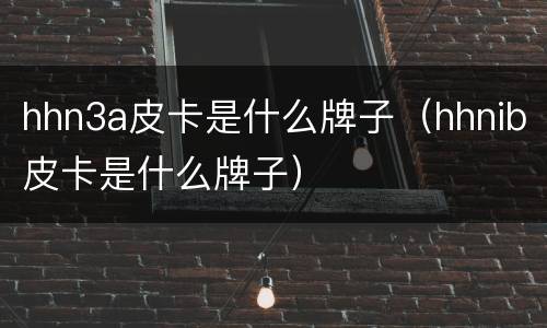 hhn3a皮卡是什么牌子（hhnib皮卡是什么牌子）