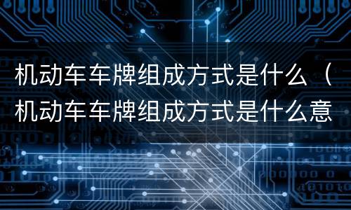 机动车车牌组成方式是什么（机动车车牌组成方式是什么意思）