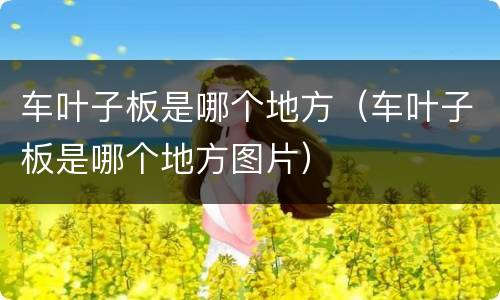 车叶子板是哪个地方（车叶子板是哪个地方图片）