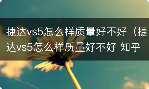 捷达vs5怎么样质量好不好（捷达vs5怎么样质量好不好 知乎）