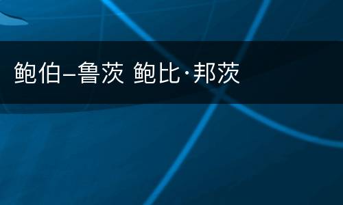 鲍伯-鲁茨 鲍比·邦茨