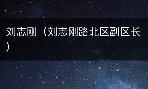 刘志刚（刘志刚路北区副区长）