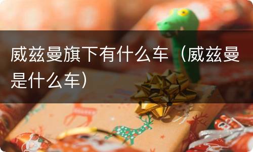 威兹曼旗下有什么车（威兹曼是什么车）