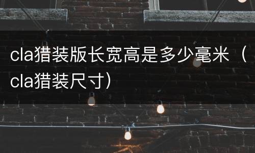 cla猎装版长宽高是多少毫米（cla猎装尺寸）