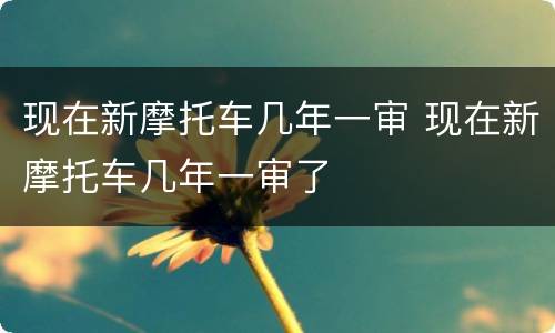 现在新摩托车几年一审 现在新摩托车几年一审了