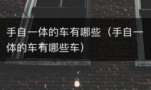 手自一体的车有哪些（手自一体的车有哪些车）