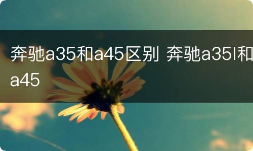 奔驰a35和a45区别 奔驰a35l和a45