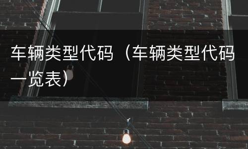 车辆类型代码（车辆类型代码一览表）