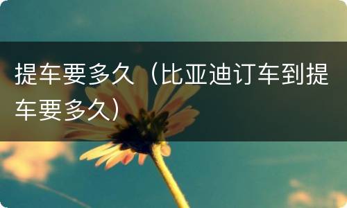 提车要多久（比亚迪订车到提车要多久）