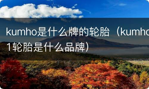 kumho是什么牌的轮胎（kumho1轮胎是什么品牌）