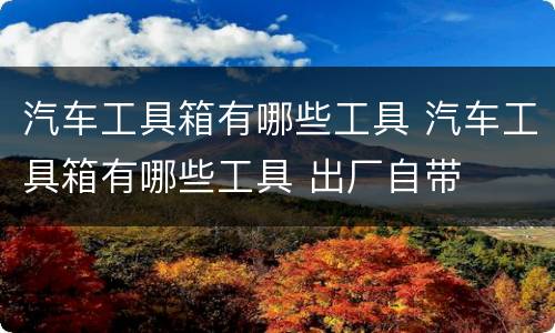 汽车工具箱有哪些工具 汽车工具箱有哪些工具 出厂自带